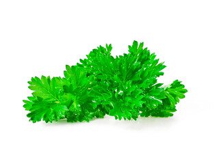 Fresh parsley leaves isolated on a white background.
