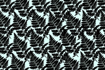 The fern pattern