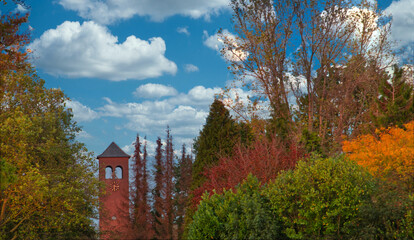 Colors in the autumn on a cloudy background, photo made in Weert the Netherlands