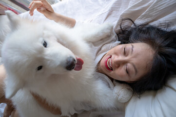 A Chinese woman plays a white Samoyed dog on her bed.