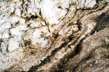 beautiful abstract natural texture background of white and dark brown color