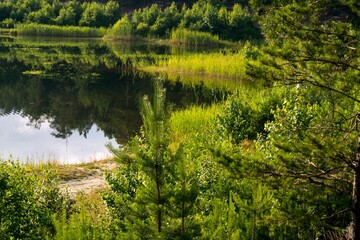 Landscape of the lake on a summer day.