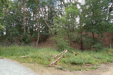 Going fo a walk at the forest lake in Kelsterbach near Frankfurt, Germany in the spring
