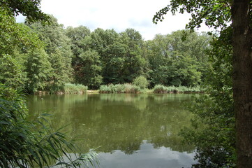 Going fo a walk at the forest lake in Kelsterbach near Frankfurt, Germany in the spring