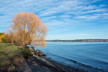 Sand point in the fall