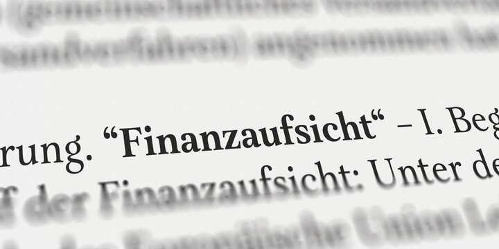 Finanzaufsicht im Buch