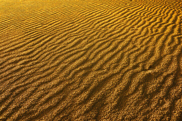 Las Dunas des Maspalomas, Gran Canaria, Spain