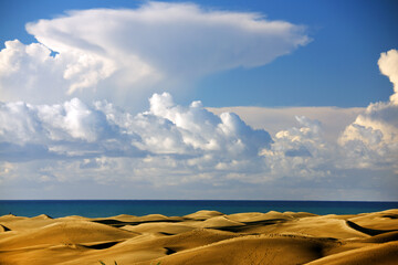 Fototapeta na wymiar Dunes of Maspalomas in Gran Canaria, Canary Islands, Spain