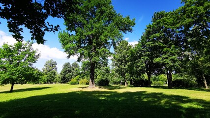 Obraz premium Park near the railway station Kushelevka in the city of St. Petersburg, Russia.