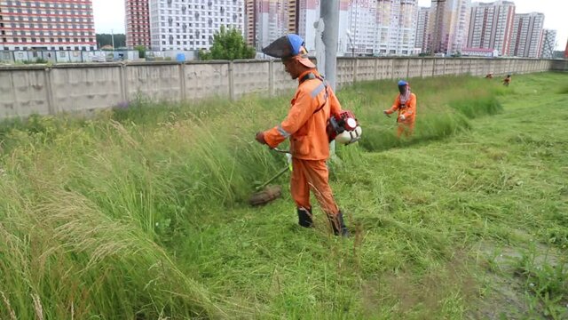 A happy worker in bright overalls mows long grass with a motorcycle mower on the roadside of a residential neighborhood, improvement of the city.