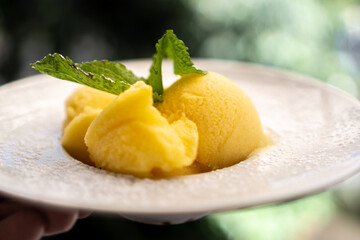 Tangerine sorbet decorated with mint served on white plate - obrazy, fototapety, plakaty