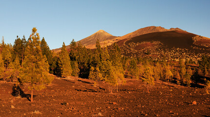 Landscape of El Teide National Park, Tenerife, Canary Islands, Spain