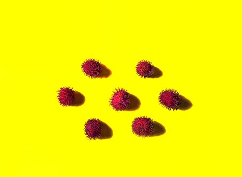 Close-up of rambutan fruit with yellow background. exotic fruits from Asia
