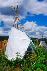 l'été dans le jardin