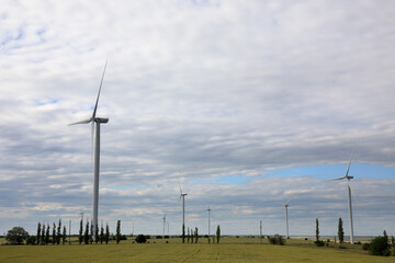 Beautiful view of field with wind turbines. Alternative energy source