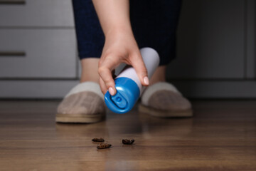 Woman spraying insecticide onto cockroaches, closeup. Pest control