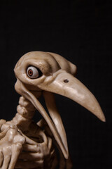 skeleton of a raven with human eyes on a black background