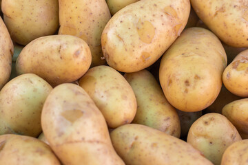 Pommes de terre nouvelles de l'Ile de Ré en vrac