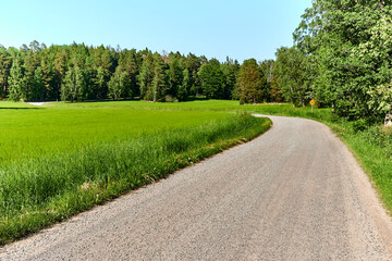 Fototapeta na wymiar Winding dirt road outside Stockholm