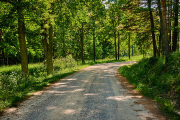 Fototapeta na wymiar Dirt road through forest and fields at Värmdö