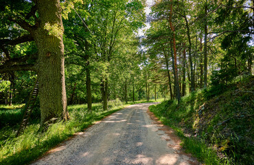 Fototapeta na wymiar Dirt road through forest and fields at Värmdö