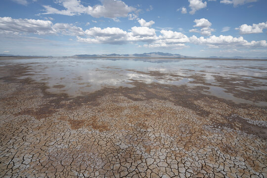 Wetland is drying up, the mud is cracking