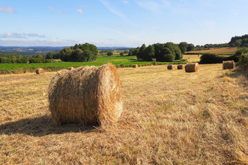 Fototapeta premium Rural landscape with hay balls on the mown field