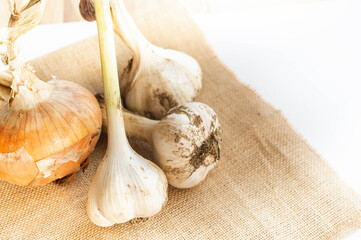 収穫したニンニク