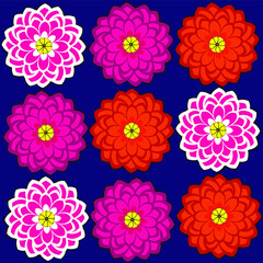 Fototapeta na wymiar Vector seamless pattern of multi-colored dahlias on a blue background. 
