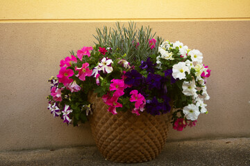 bouquet of colourful flowers in a vase