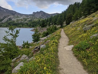 Obraz premium Lac d'Allos dans le parc du Mercantour au mont pelat avec des glacier et des animaux sauvages, randonnées et refuges, Alpes de haute Provence, France, montage pic et sommet.