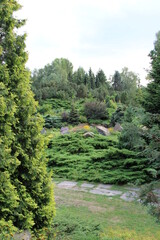 summer landscape with bushes and stones