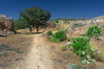 Fototapeta na wymiar Path bordered with flower in the Tombs of the Kings necropolis at Paphos, Cyprus