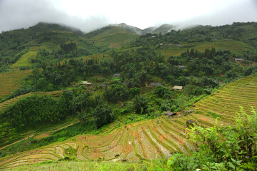 Fototapeta na wymiar Misty mountains closed to Sapa rice fiels terraces in Vietnam