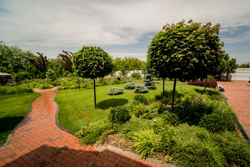 Beautiful garden landscape design. Summer day background