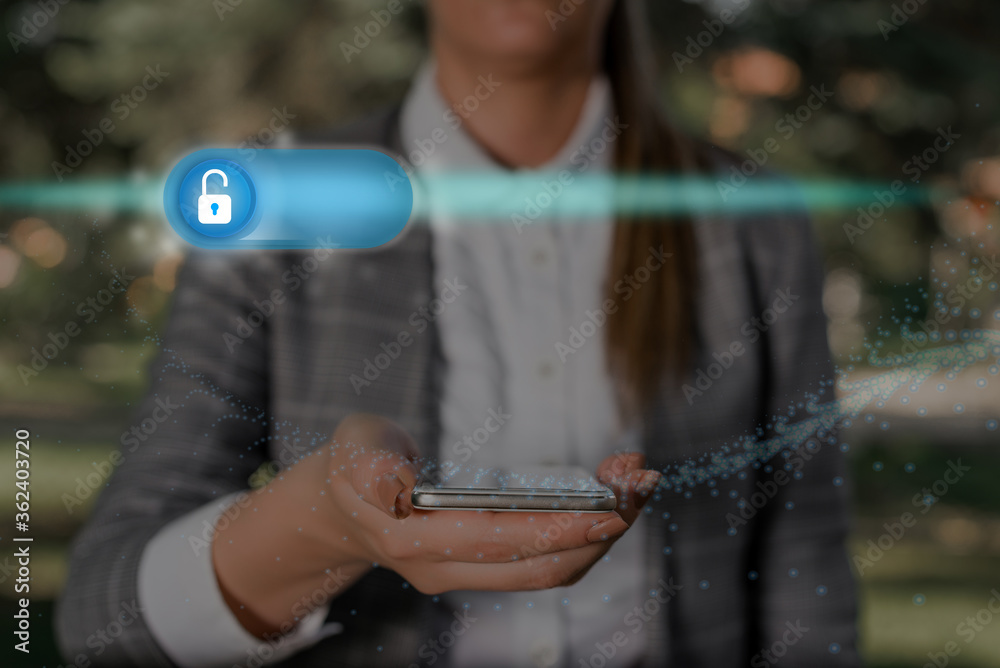 Aufkleber graphics padlock for web data information security application system