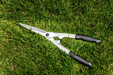 Big scissors on green grass. Landscape design.