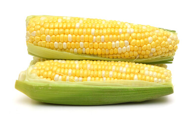 fresh corn fruits with green leaves isolated on white background