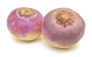 freshly harvested spring turnips (Brassica rapa) on a white background