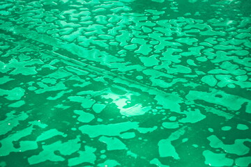Drops and puddles of water on dry green paint. Light green background and dried paint mixed with drops of water. Abstract background, texture.