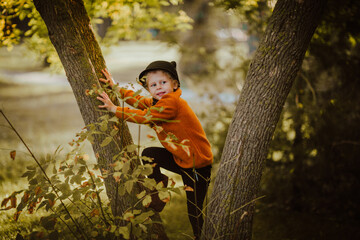Little cute girl in red autumn sweater climbing the tree.