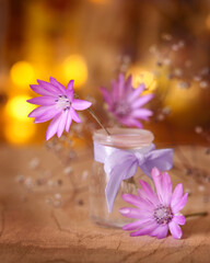 Fototapeta na wymiar Pink purple flower Xeranthemum,Immortelle, Everlasting Flower in glass vase on bokeh background.Selected focus on flower.