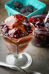 Chocolate ice cream sundae with raspberry sauce