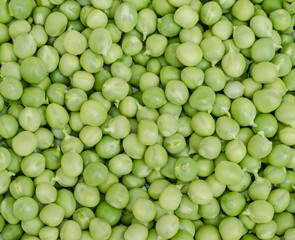 Green Peas background texture vegetable. Harvest in the garden