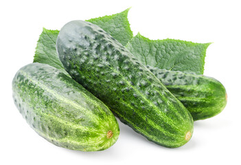 Cucumbers with green leaves on a white background. Isolated