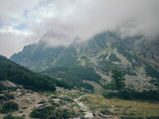 A large mountain in the background