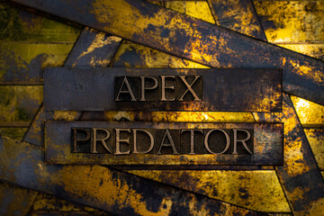 Apex Predator text formed with real authentic typeset letters on vintage textured silver grunge copper and gold background