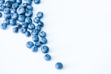 Fresh blueberry background. Texture blueberry berries close up