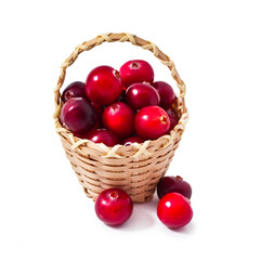 Heap of cranberries in a basket isolated on a white background.