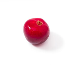 Cranberry isolated on a white background.
